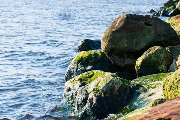 Rocks Seashore — Stock Photo, Image