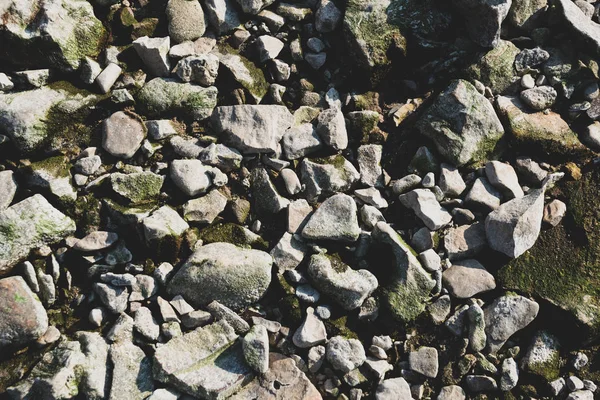 Muchas Piedras Orilla Del Mar — Foto de Stock