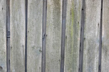 Eski grunge ahşap duvar doku arka plan