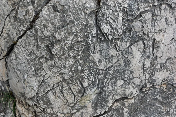 Surface rocheuse rugueuse et texturée . — Photo