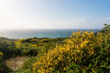 Rodos'ta dağların ve vadilerin güzel manzarası