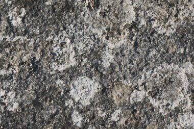 Pürüzlü, dokulu kaya yüzeyi.