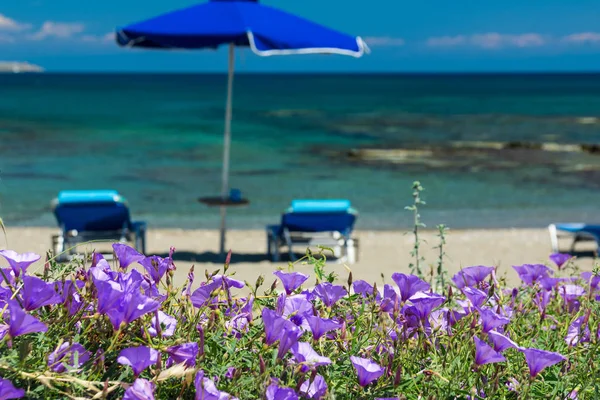 Solstolar och ett paraply på stranden, vid havet. — Stockfoto