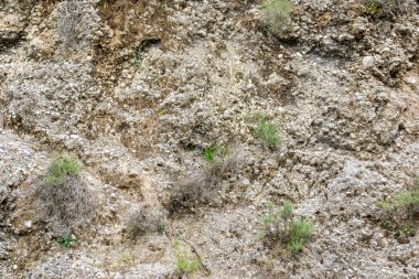 eski pürüzlü, yıpranmış, dokulu kaya yüzeyi