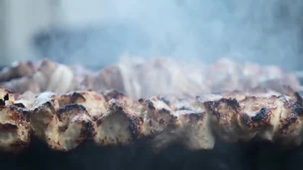 Κομμάτια Κρέατος Καλαμάκια Στη Σχάρα — Αρχείο Βίντεο