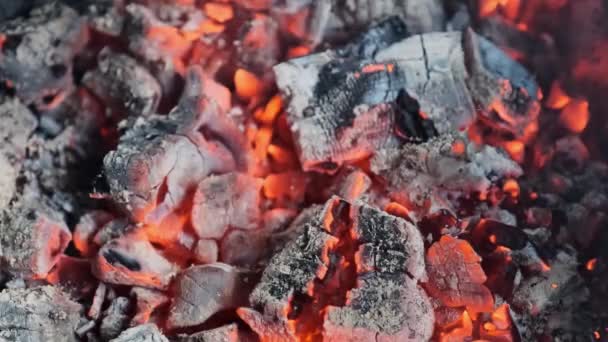 Carbón ardiente maravillosamente en la chimenea — Vídeos de Stock