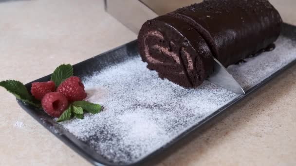 Chef Slices Chocolate Roll Swiss Roll Plate Swiss Roll Decorated — Stock Video