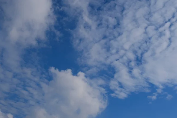 Nuvens inchadas brancas no céu azul brilhante. Abstrato . — Fotografia de Stock