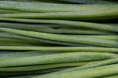 Bir dükkanda yeşil soğan sayacı, bir süpermarkette yeşil soğan.