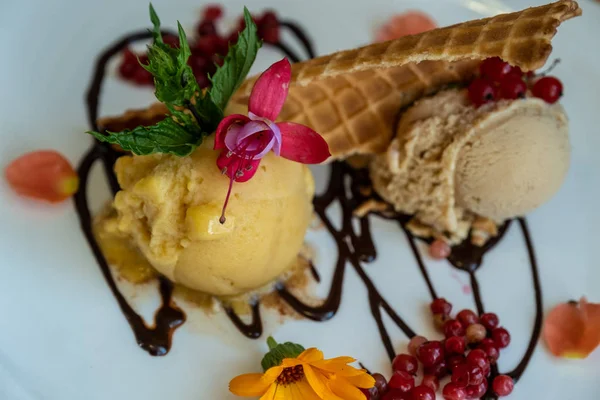 Crème glacée à l'avoine et à la chicorée et gaufre aux baies fraîches — Photo