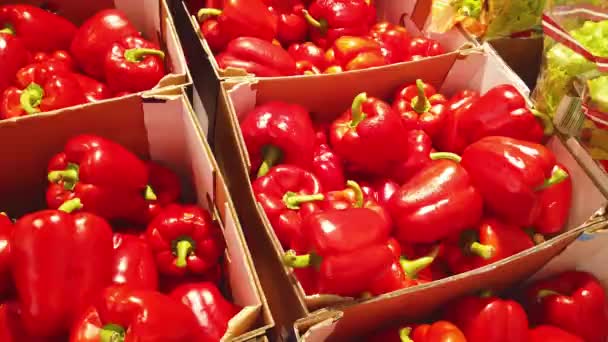 Färska grönsaker, röd och grön paprika-till salu på en marknad. En grupp färska grönsaker i en butik. — Stockvideo