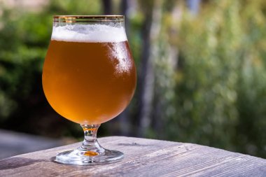 güneşli bir günde ahşap bir masada bira ile cam