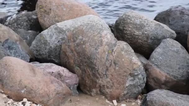 Yaz Aylarında Deniz Kıyısında Dalgalar Taşlar — Stok video