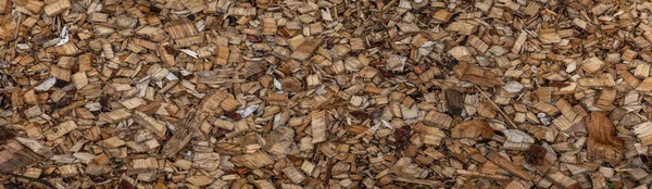 Panorama Abstract Wood Shavings Flowerbed Texture Sawdust Carpentry Waste — Stock Photo, Image