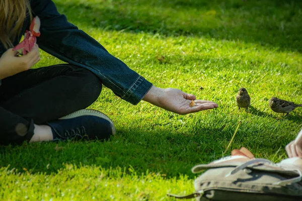 女の子は公園でパンを鳥に与えます 十代の若者は雀の手を養う — ストック写真