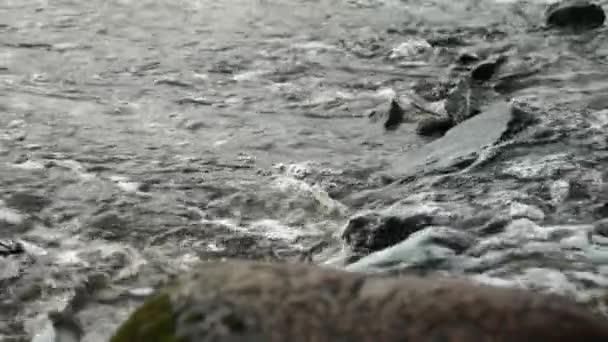 一条小溪 在石头巨石中流淌 野生山河近景清澈清澈的溪流 — 图库视频影像