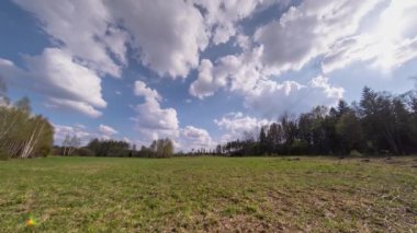 Yeşil ormanda zaman kaybı, yaz ormanı manzarası ve hareket eden bulutlar..