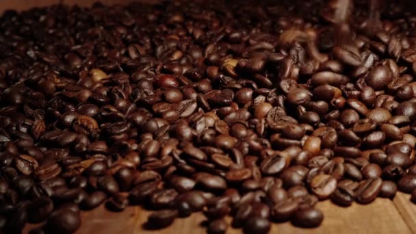 Geröstete Kaffeebohnen Ganze Kaffeebohnen Eine Angenehme Braune Farbe Kaffee Wird — Stockvideo