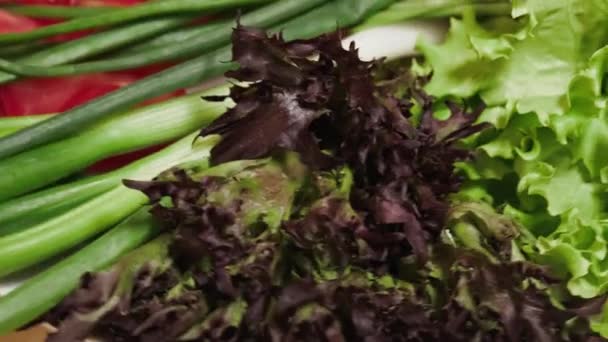Råa Grönsaker Dill Sallad Och Gröna Lök Närbild Vegetarisk Mat — Stockvideo