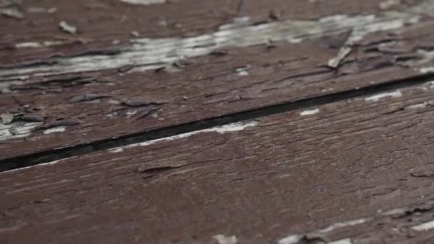 Nahaufnahme Einer Rissigen Oberfläche Einer Alten Strukturierten Holzplatte — Stockvideo