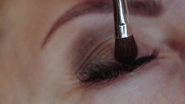 Makijaż Zbliżenie Oczu Musztarda Oczna Kobieca Twarz Makijażem Mody — Wideo stockowe