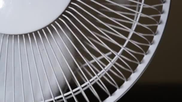 家用风扇停止转动叶片 在炎热的夏日给你降温的扇子 — 图库视频影像