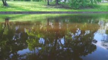 Eski şehir parkında pürüzsüz ve sakin bir gölet. Kentsel çevre.