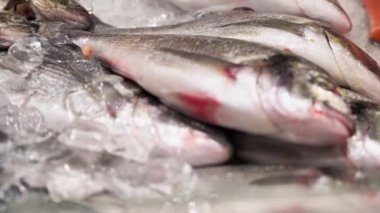 Dorada grubunu balık pazarında buza yakın çekim. Markette taze balıkla tezgah..