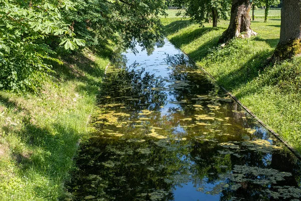 Sommerlandschaft Einem Stadtpark Europa Kleiner Stadtkanal Park — Stockfoto