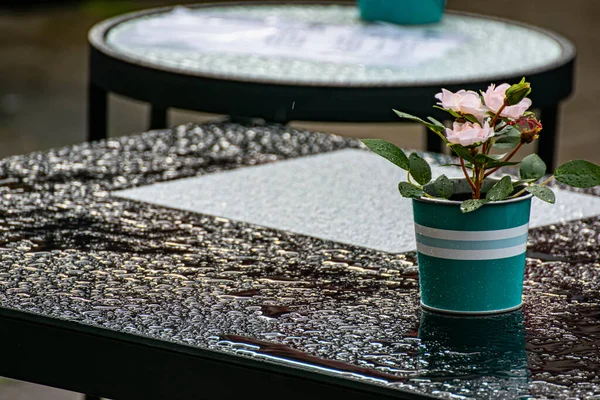 The tables in the cafe are on the street. Raindrops on the table after the cafe.