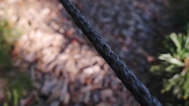 自然を背景に古い麻ロープを伸ばし ロープが地面に吊るされ — ストック動画