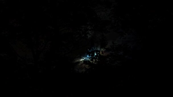 Расписание Луна Движется Ночном Небе Сквозь Темные Облака Деревья — стоковое видео