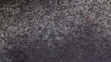 Suyun sakin yüzeyine küçük ışık damlaları düşer..