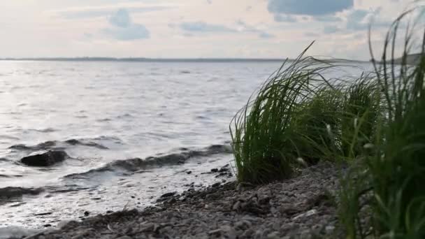 Opuštěném Břehu Jezera Zamračeném Dni Větru Houpe — Stock video