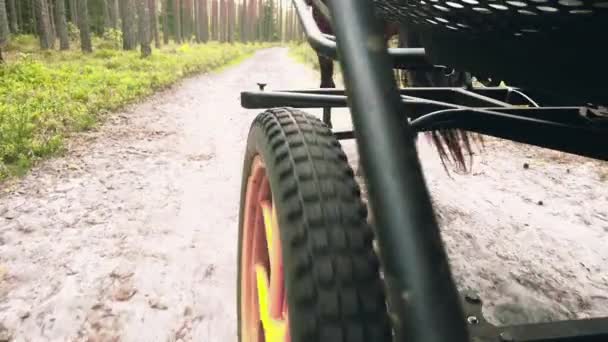 Close Cart Wheel Forest Road Open Road People — Stock Video