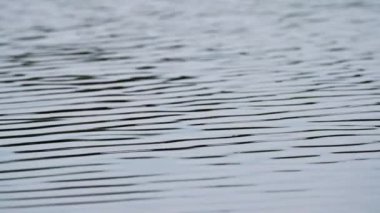 Yakın çekim su yüzeyinde ince dalgalar var. Küçük nehirde esen meltem.