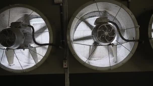 Nagy Ipari Ventilátorokkal Dolgozik Egy Termelési Területen Forgó Ventilátorlapátok — Stock videók