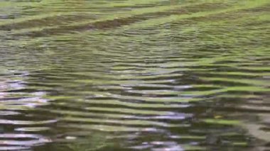 Su yüzeyindeki küçük dalgalar. Suyun dokusu nehir, deniz, okyanus ve gölün yüzeyinde dalgalanır..