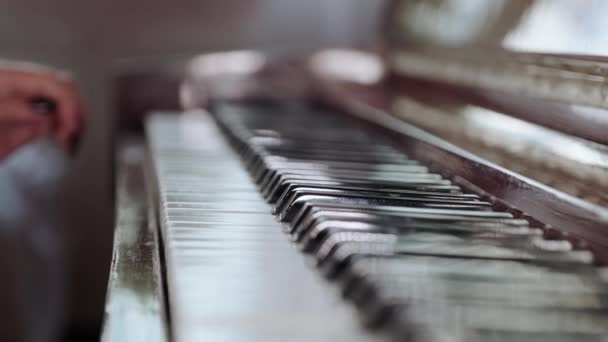 Les Mains Fille Jouent Piano Une Femme Joue Instrument Clavier — Video