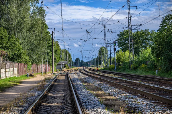 Nombreuses Voies Ferrées Étendant Jusqu Horizon Les Bois Clôture Ciel — Photo