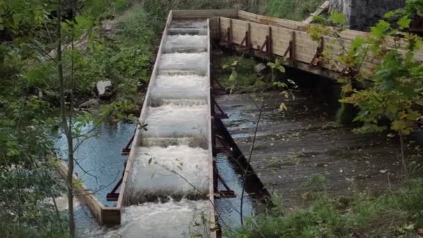 Bandejas Madeira Para Desova Peixes Rio Dispositivo Ajuda — Vídeo de Stock