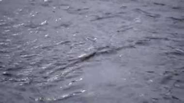 Sığ bir derede akan su. İstenmeyen dalgalarla dolu su yüzeyi. Soyutlama.