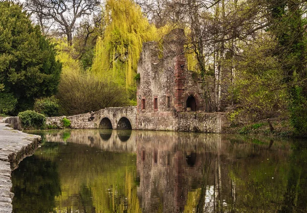 Ruins of the old church on the island. Ruins of the old church on the island. A city in Bavaria, Aschaffenburg.