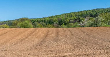 Sürülmüş tarlalar, tahıl ekim için toprak hazırlama.