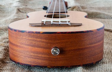 Tahta ukuleleler. Aşağıdan bir fotoğraf. Yeni müzik ekipmanları. Hawai müziği. Dört telli çalgı. Yumuşak müzik. Metal kemer kancası. Kahverengi kaplama.