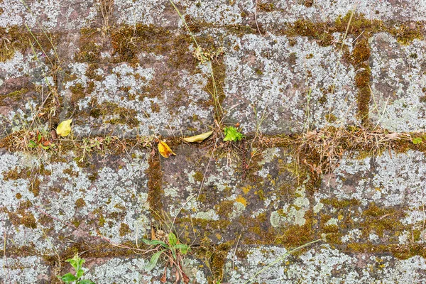 Old stone wall Mossy stones. Moss-covered granite. Historic defensive walls. Dry grass residue. Rough surface. Zomne to touch. Interesting foundation and background.