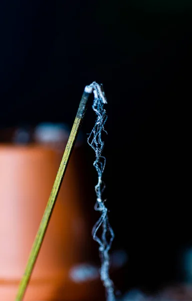 Burnt incense. Ash and stick. Meditation at home. Ash after incense. Photo on a black background. Reflection time. Incense smoke.