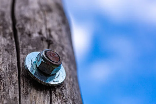 Borden Verbonden Door Schroef Een Boomhut Bouwen Onder Blauwe Hemel — Stockfoto