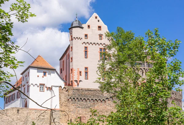 Deutschland Schloss Alzenau Sehenswürdigkeiten Bayern Steinbau Sommer Der Stadt Historische lizenzfreie Stockbilder