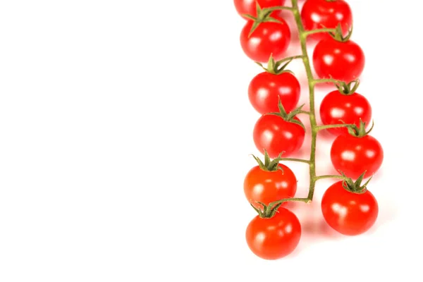 Zbliżenie dojrzałe świeże soczyste, ekologiczne pomidory cherry na oddział na białym tle na białym tle. — Zdjęcie stockowe